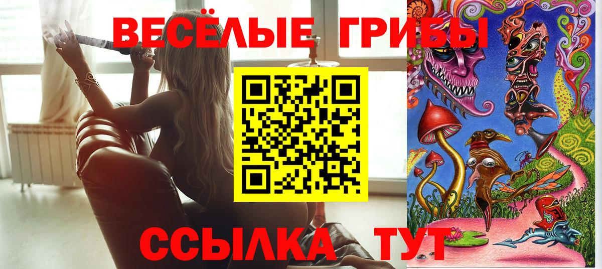 магазин продажи   Вход с VPN  Каспийск  Псилоцибиновые грибы Psilocybe  Псилоцибиновые грибы Psilocybe 